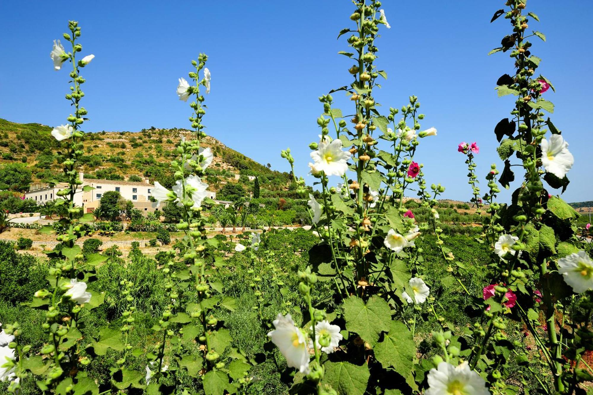 Kallikoros Country Resort & Spa Noto Ngoại thất bức ảnh